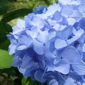 f:id:myukmyuk:20180603225236j:plain