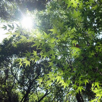 f:id:myukmyuk:20180603225245j:plain