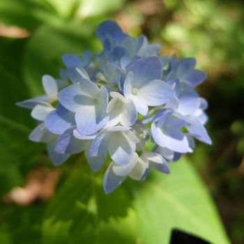 f:id:myukmyuk:20180603225257j:plain