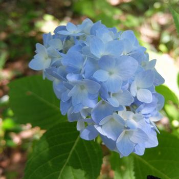 f:id:myukmyuk:20180603225304j:plain
