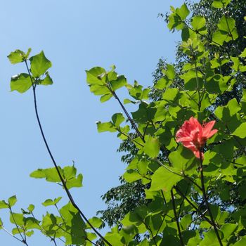 f:id:myukmyuk:20180603225311j:plain
