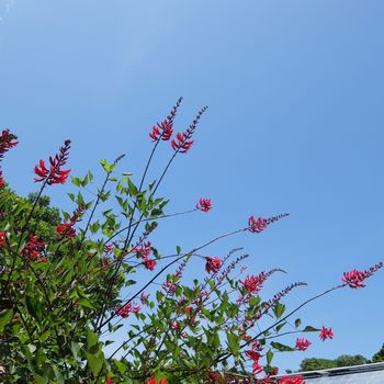 f:id:myukmyuk:20180609235107j:plain