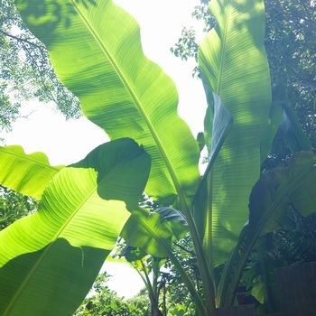 f:id:myukmyuk:20180609235210j:plain