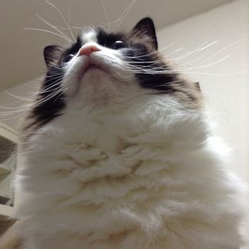 f:id:myukmyuk:20180616215111j:plain