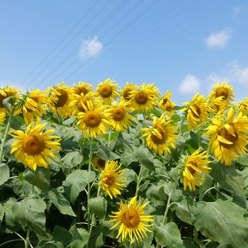 f:id:myukmyuk:20180722225925j:plain