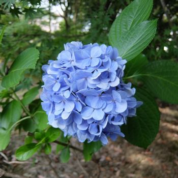 f:id:myukmyuk:20180722225955j:plain