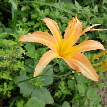 f:id:myukmyuk:20180909212926j:plain