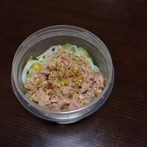 今週のジップロック弁当 猫は何も持ってない