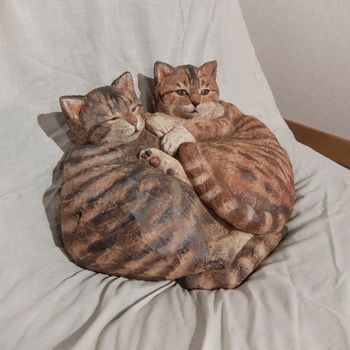 f:id:myukmyuk:20181006230254j:plain