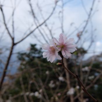 f:id:myukmyuk:20181023000815j:plain