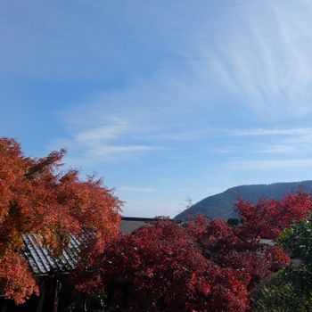 f:id:myukmyuk:20181118003700j:plain