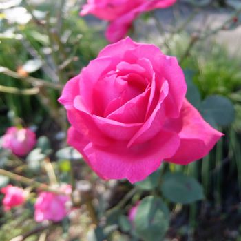 f:id:myukmyuk:20181118003742j:plain