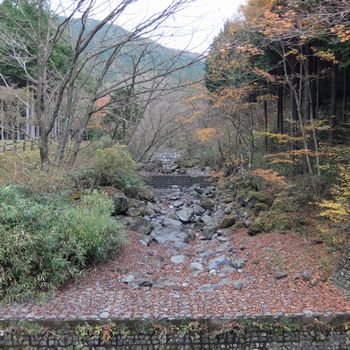 f:id:myukmyuk:20181118231706j:plain