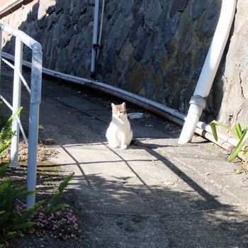 f:id:myukmyuk:20190114173426j:plain