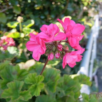 f:id:myukmyuk:20190114173435j:plain