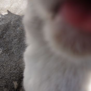 f:id:myukmyuk:20190114173517j:plain