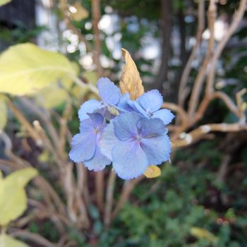 f:id:myukmyuk:20190114173557j:plain