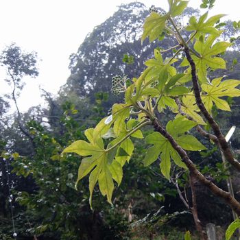 f:id:myukmyuk:20190228230837j:plain
