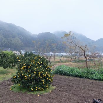 f:id:myukmyuk:20190228230906j:plain