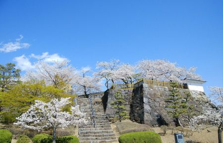 f:id:myukmyuk:20190409224719j:plain