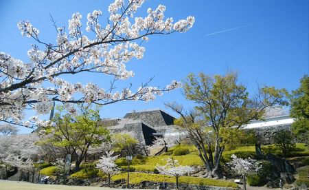 f:id:myukmyuk:20190409224723j:plain