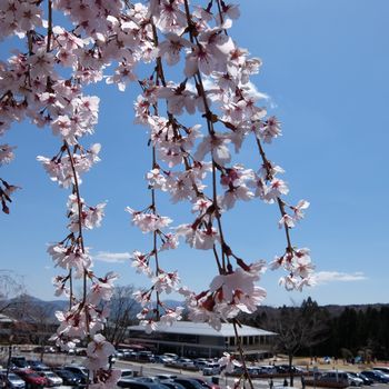 f:id:myukmyuk:20190413231916j:plain f:id:myukmyuk:20190413231916j:plain