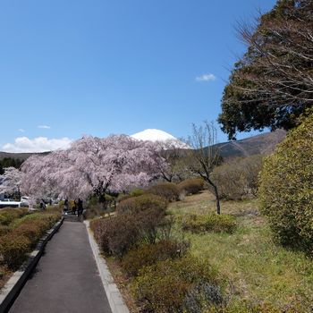 f:id:myukmyuk:20190413231919j:plain f:id:myukmyuk:20190413231919j:plain