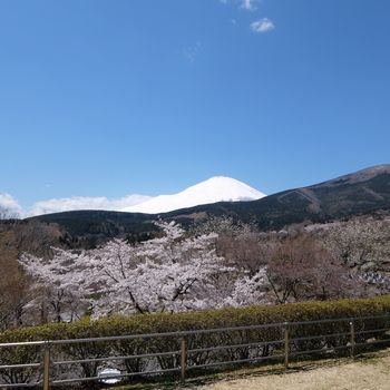 f:id:myukmyuk:20190413231929j:plain f:id:myukmyuk:20190413231929j:plain