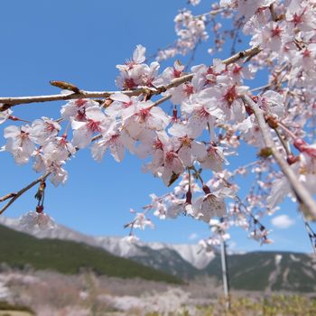 f:id:myukmyuk:20190413231931j:plain f:id:myukmyuk:20190413231931j:plain