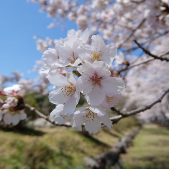 f:id:myukmyuk:20190413231947j:plain f:id:myukmyuk:20190413231947j:plain