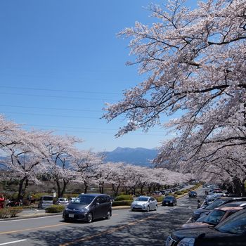 f:id:myukmyuk:20190413232003j:plain f:id:myukmyuk:20190413232003j:plain