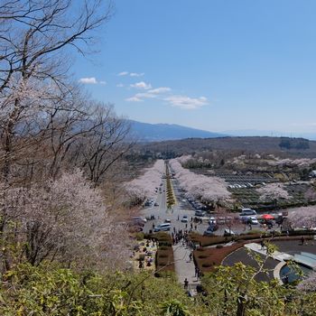 f:id:myukmyuk:20190413232011j:plain f:id:myukmyuk:20190413232011j:plain