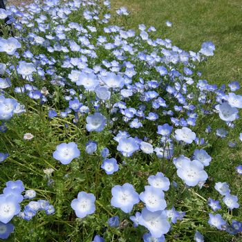f:id:myukmyuk:20190518222412j:plain