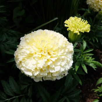 f:id:myukmyuk:20190518222456j:plain