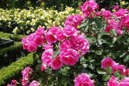 f:id:myukmyuk:20190518222520j:plain