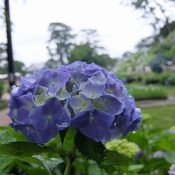 f:id:myukmyuk:20190609233021j:plain