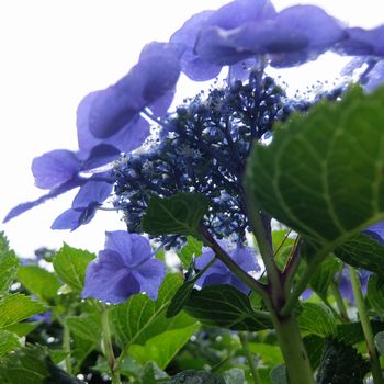 f:id:myukmyuk:20190609233035j:plain