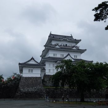 f:id:myukmyuk:20190609233104j:plain