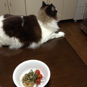 f:id:myukmyuk:20190705215317j:plain