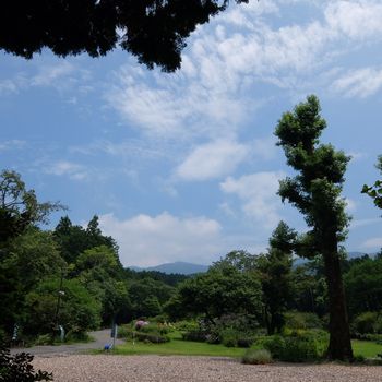 f:id:myukmyuk:20190728183441j:plain