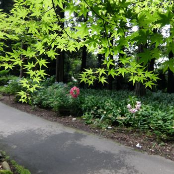 f:id:myukmyuk:20190728183548j:plain