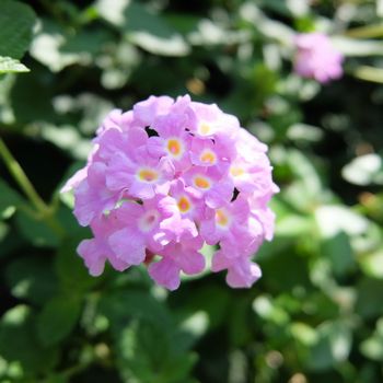 f:id:myukmyuk:20190811174134j:plain