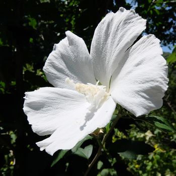 f:id:myukmyuk:20190811174138j:plain