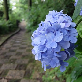 f:id:myukmyuk:20190817231249j:plain