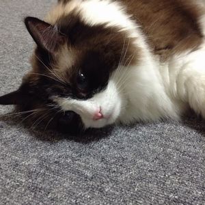 f:id:myukmyuk:20190822003736j:plain f:id:myukmyuk:20190822003736j:plain