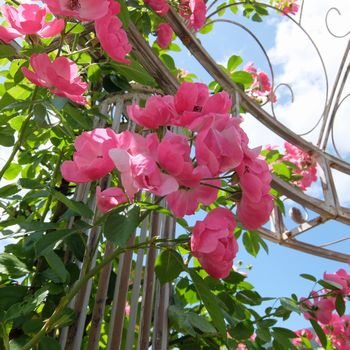f:id:myukmyuk:20190824222150j:plain