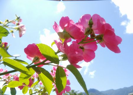 f:id:myukmyuk:20190824222153j:plain