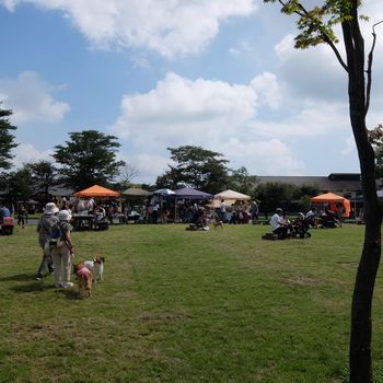 f:id:myukmyuk:20190824222218j:plain