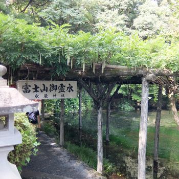 f:id:myukmyuk:20190824222251j:plain