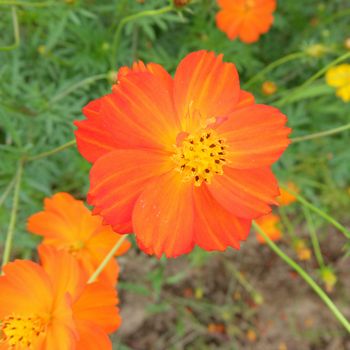 f:id:myukmyuk:20190907234311j:plain